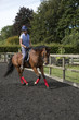 Woman rider exercising a horse in a paddock