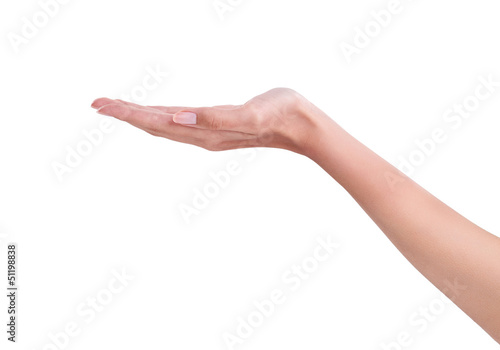 Photo: Hand Open- isolated on white Hand Open- isolated on white