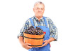 A vintner holding a bucket of grapes
