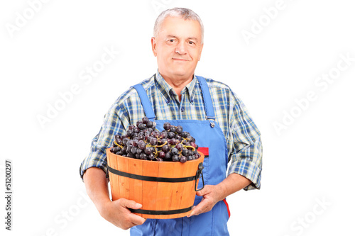 Photo: A vintner holding a bucket of grapes A vintner holding a bucket of grapes