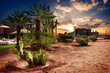 Oasis in Morocco
