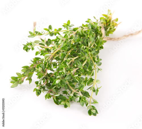 Photo: Fresh thyme on white background Fresh thyme on white background