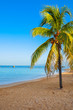 Tropical beach