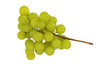 Grapes isolated on white background