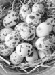 raw guail eggs
