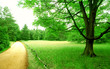 green park