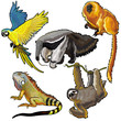 set with animals of south america