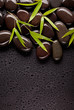 Photo: Spa stones with bamboo sprouts Spa stones with bamboo sprouts