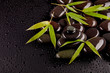 Photo: Spa stones with bamboo sprouts Spa stones with bamboo sprouts