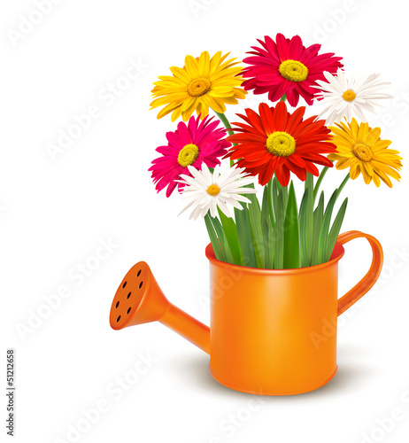 Vector: Colorful fresh spring flowers in orange watering can. Vector ill Colorful fresh spring flowers in orange watering can. Vector ill