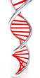 DNA structure model on white