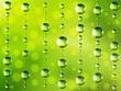 Vector: Abstract dew green background Abstract dew green background