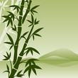 landscape with bamboo
