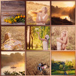 Foto: summer collage summer collage