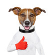 i like dog