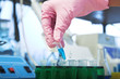 molecular biology