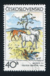 Pasture