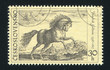 Prancing stallion by Hendrik Goltzius