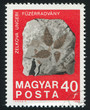 print of leaves on stone