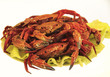 cooked boiled crabs on the green sheets salad