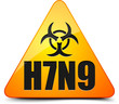 H7N9 Bird Flu