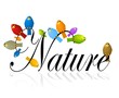 natura uccellini