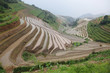 Longji rice terraces, Guangxi province, China
