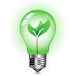 Green energy concept, plant growing inside the light bulb