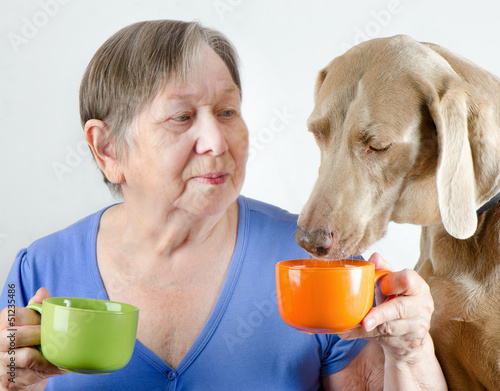 Photo: Senior woman with dog drinking tea Senior woman with dog drinking tea