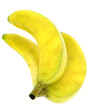 bananas isolated on a white background
