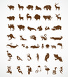 vector collection of animal icons