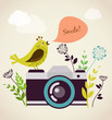 Vector: old vintage camera with bird old vintage camera with bird