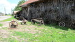 retro carriage cart wheels hang on rural building wall bench