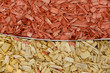 Gartengestaltung mit Rindenmulch
