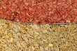 Gartengestaltung mit Rindenmulch