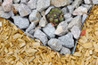 Gartengestaltung mit Rindenmulch