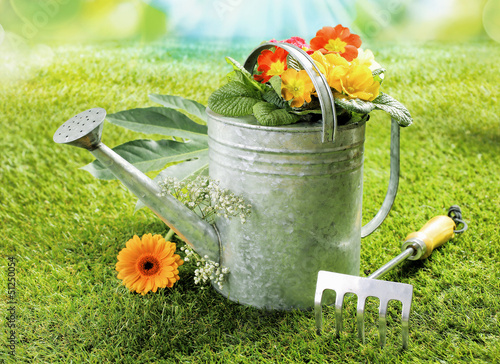 Photo: Watering can with summer flowers Watering can with summer flowers