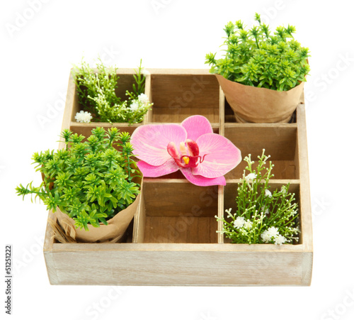 Photo: Beautiful flowers arranged in wooden box isolated on white Beautiful flowers arranged in wooden box isolated on white