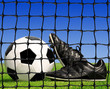 soccer ball and shoes in grass