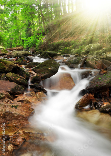Photo: White creek - National park Sumava Czech Republic Europe White creek - National park Sumava Czech Republic Europe