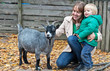 family touching goat in Zoo