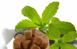 Stevia Rebaudiana mit Zucker