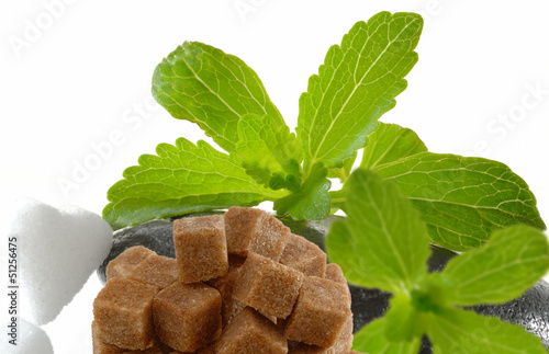 Photo: Stevia Rebaudiana mit Zucker Stevia Rebaudiana mit Zucker