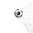 Soccer ball in net. on goal, illustration