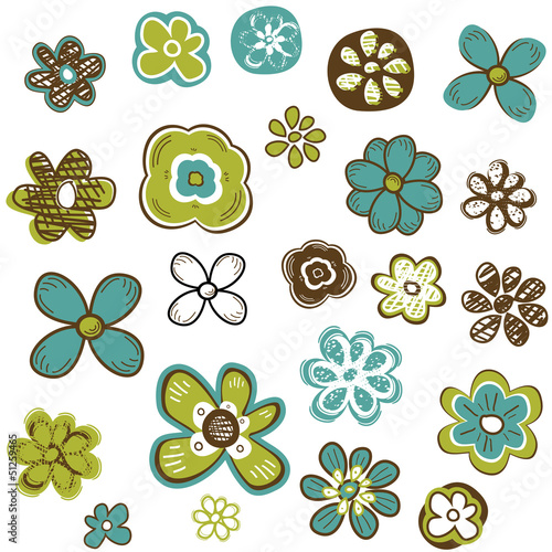 Vector: flowers set flowers set