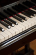 piano Detail