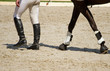 Foto: horse and jockey legs horse and jockey legs