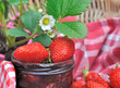fraises du jardin pour confiture