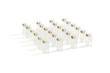 24 RJ45 plug