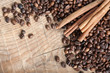 Foto: coffee beans with cinnamon on wooden table coffee beans with cinnamon on wooden table